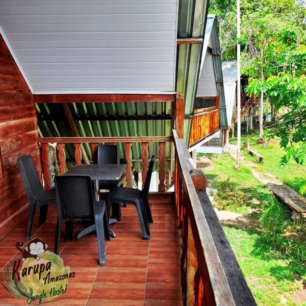 Coconut - Image 3
