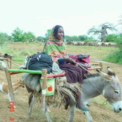 WhatsApp Image 2025-02-13 at 6.32.48 AM (2)