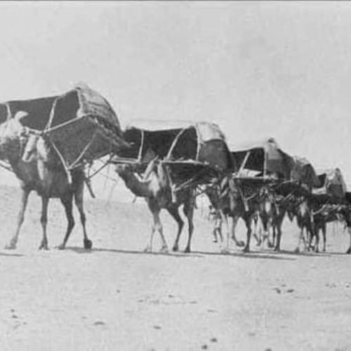 WhatsApp Image 2025-02-13 at 6.32.50 AM (2)