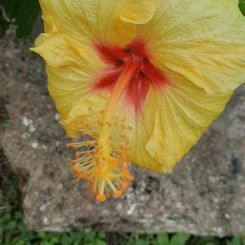 WhatsApp Image 2025-02-13 at 6.33.00 AM (2)