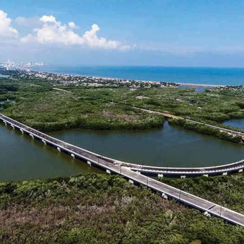 WhatsApp Image 2025-02-13 at 6.51.52 AM