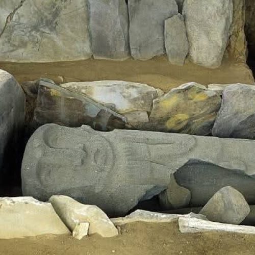 WhatsApp Image 2025-02-13 at 6.51.58 AM